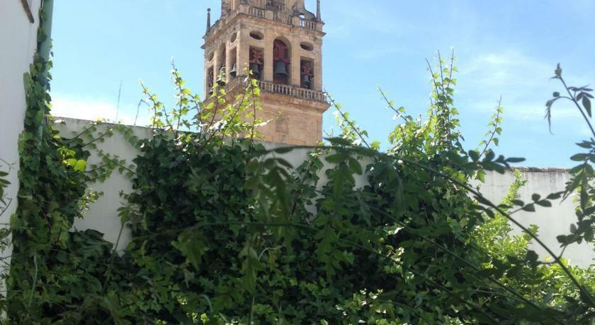 Entre 2 Mezquitas Apartamento 8 Córdoba Eksteriør billede